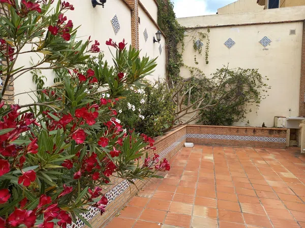 Casa o chalet independiente en Calle Gabriel y Galán, 9, Pedregalejo - Morlaco - Foto 14