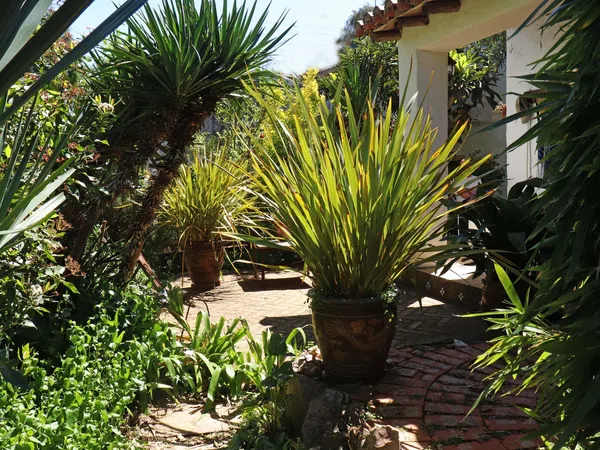 Chalet pareado en carretera Cc-431 s/n - Foto 17