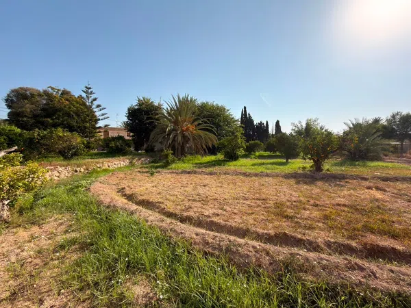 Masía en Masía en El Secanet - Hacienda del Sol, El Secanet - Hacienda del Sol - Foto 19