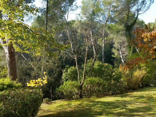 Ático en Eixample - Foto 18