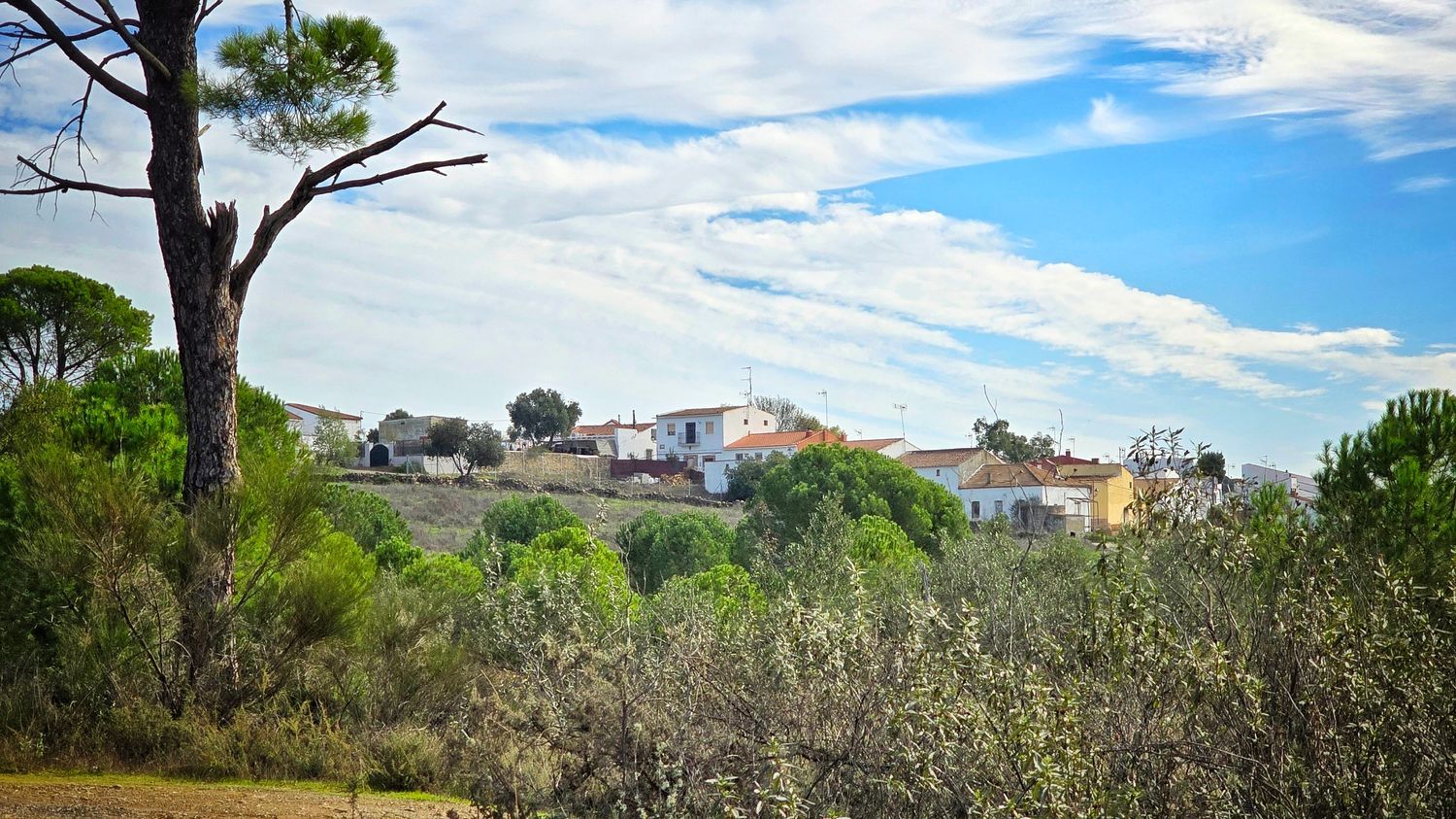 Casa rural en Plaza Sevilla s/n - Foto 25