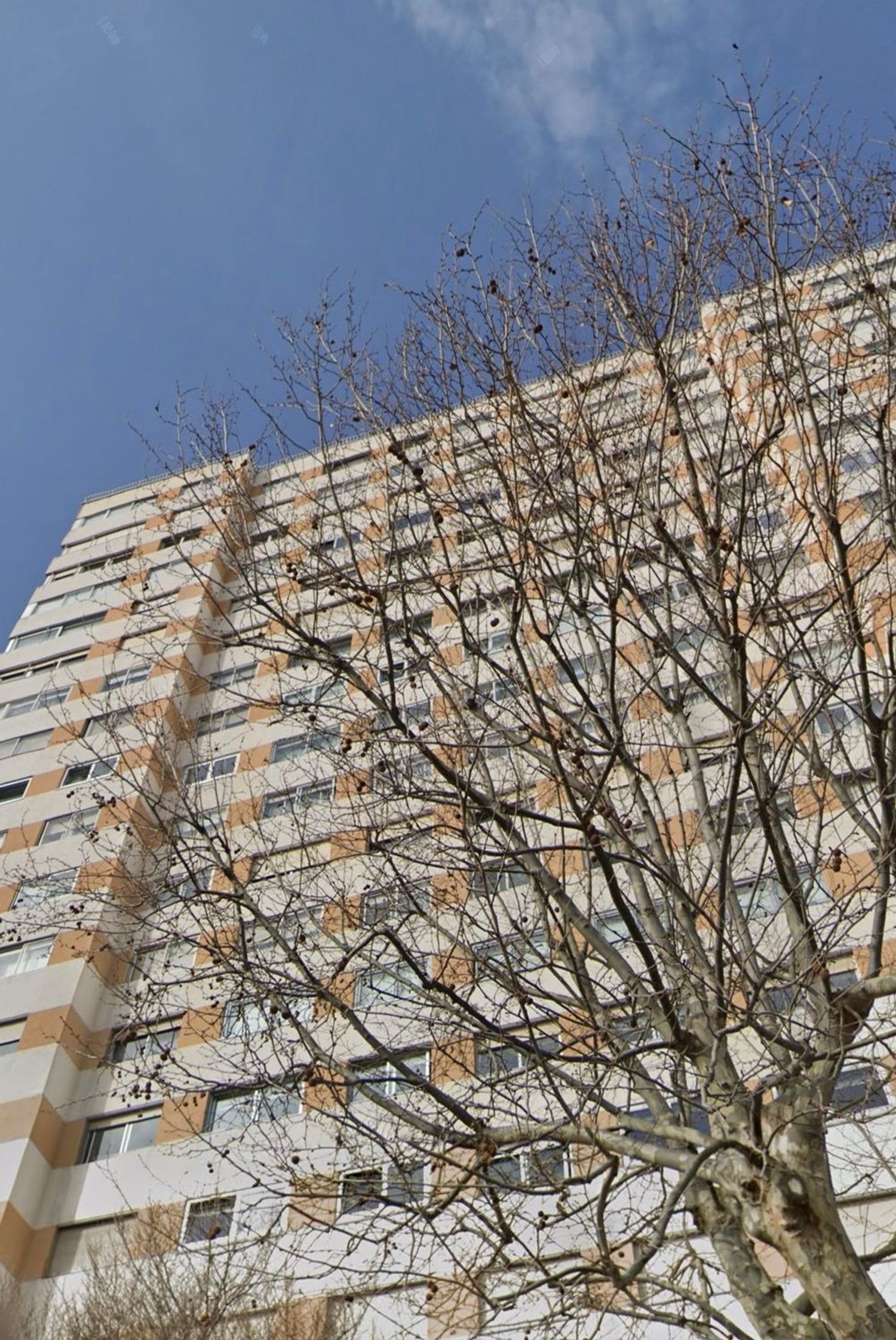 Piso en avenida de Oza, 240 - Foto 13