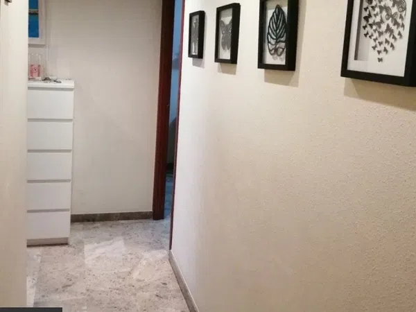 Piso en Calle de los Plateros, 16, Santa Rosa - San José - Foto 11