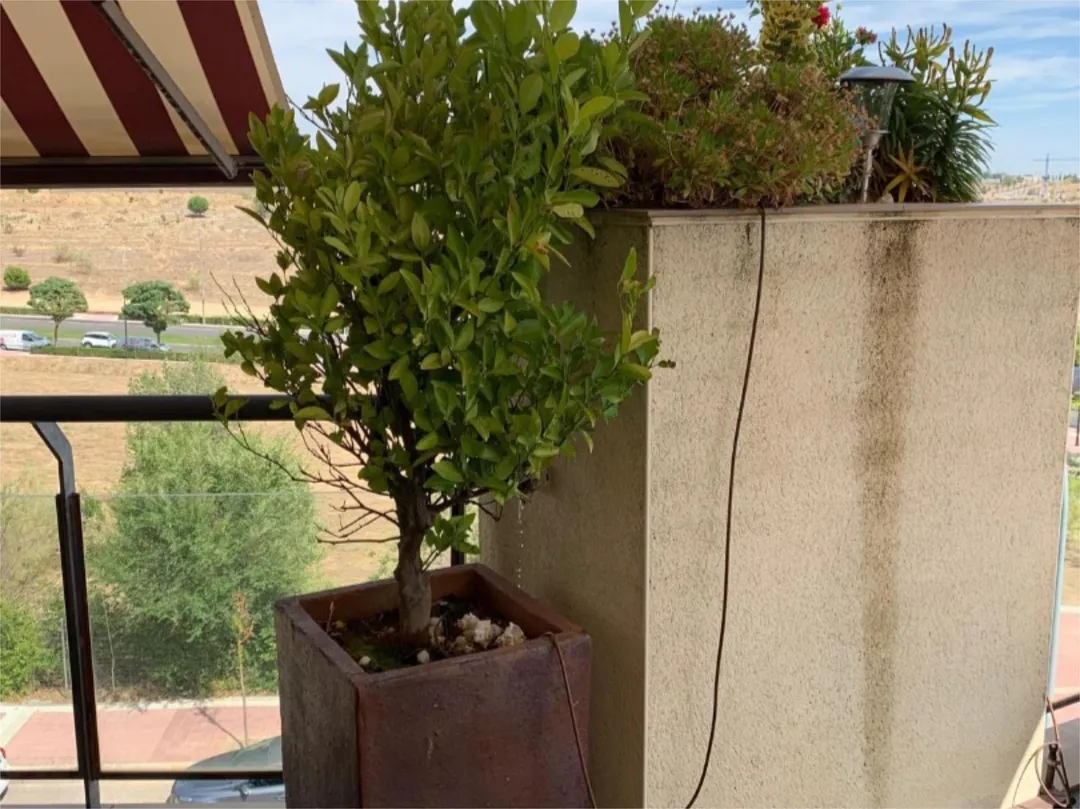 Ático en  Calle Francisco Tomás y Valiente 5 - Foto 19