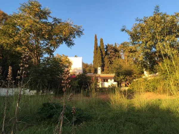 Casa o chalet independiente en Calle de la Palmera, 6, Las Lomas - Foto 31