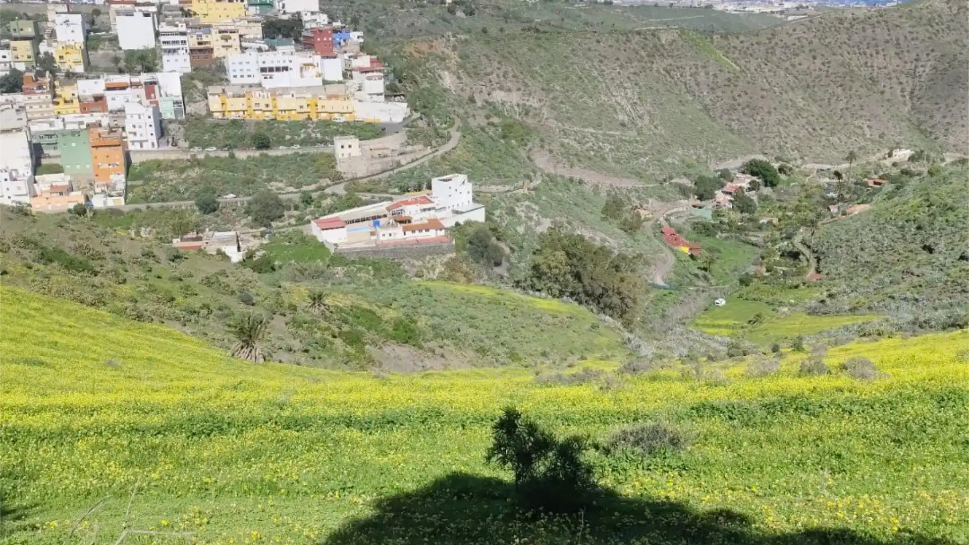 Casa adosada en  Calle Francisco de La Torre 31 - Foto 49