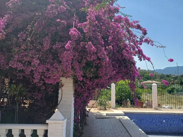 Casa independiente en Av vereda Real, 15 - Foto 22