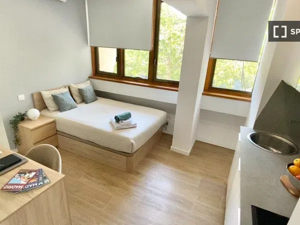 Estudio en Avenida del Doctor Federico Rubio y Galí, Bellas Vistas - Foto 2