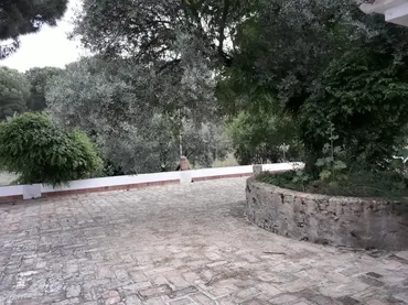 Finca rústica en  Avenida de Andalucía 7 - Foto 3