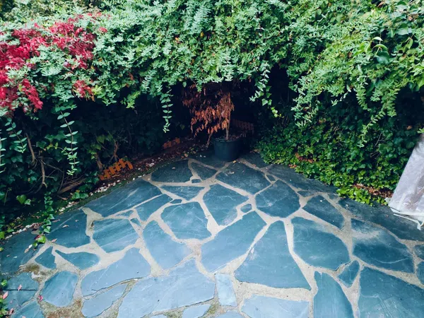 Chalet adosado en Casco Antiguo - Foto 15