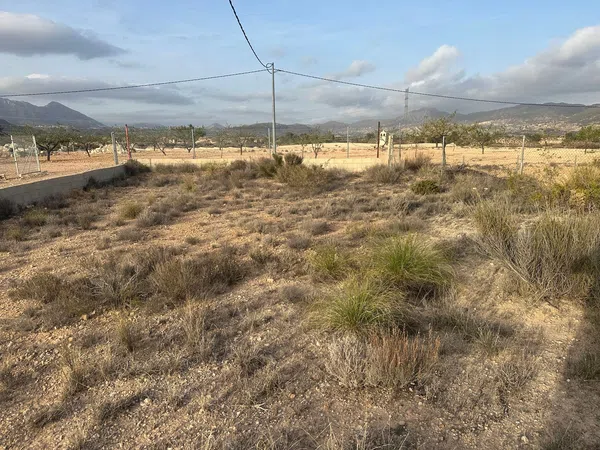 Finca rústica en Diseminado Paraje Salado Bajo, 14 - Foto 31