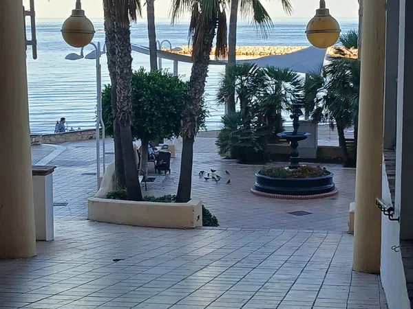 Local en Avenida Antonio Machado, 57, Solymar - Puerto Marina, Solymar - Puerto Marina - Foto 4