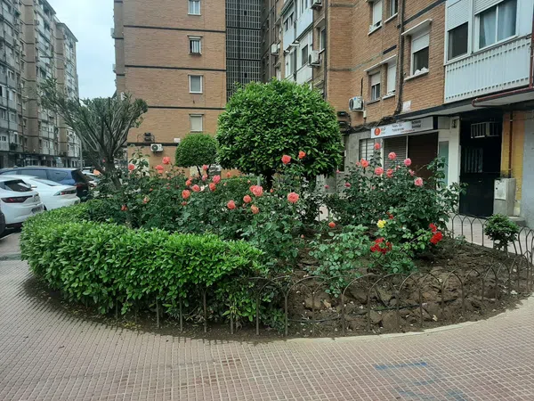 Estudio en Juan de Austria, Juan de Austria - Foto 20