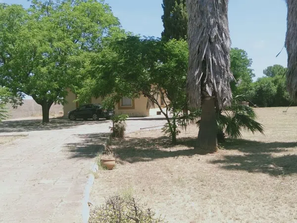 Casa o chalet independiente en Urbanización las Monjas, 516 - Foto 3