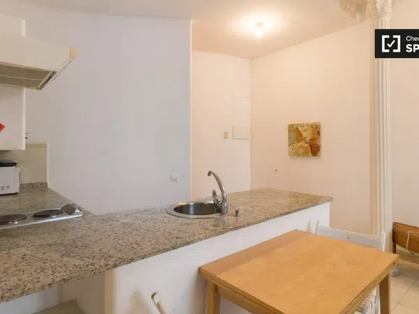 Estudio en Rambla La, El Raval - Foto 7