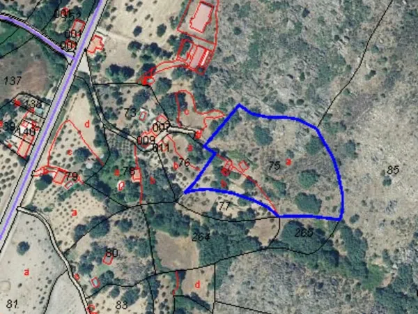 Finca rústica en Poblado los Arroyos de Abajo, 39 poligonoparcela - Foto 39