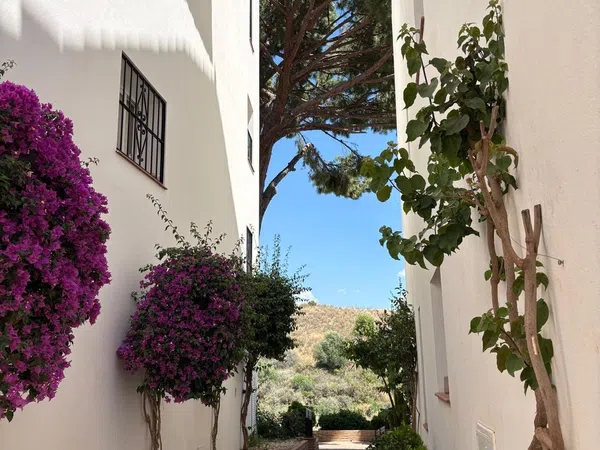 Piso en Urbanización Los Pinos de Aloha, 1, Aloha - Foto 12