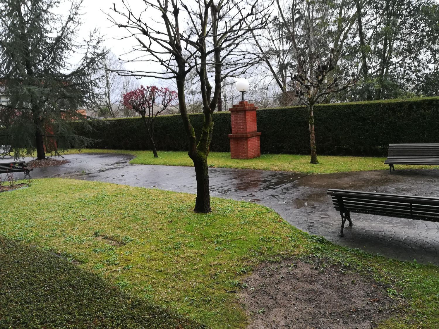 Piso en Avenida De Pedro Masaveu, 16, Auditorio-Seminario-Parque de Invierno - Foto 24