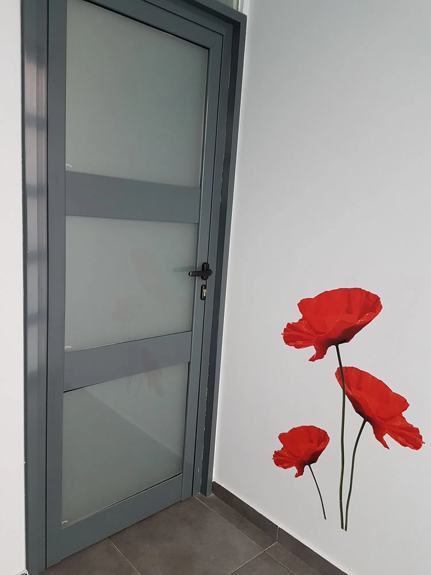 Estudio en calle de Reig i Bonet, 9  bajos,2º - Foto 4