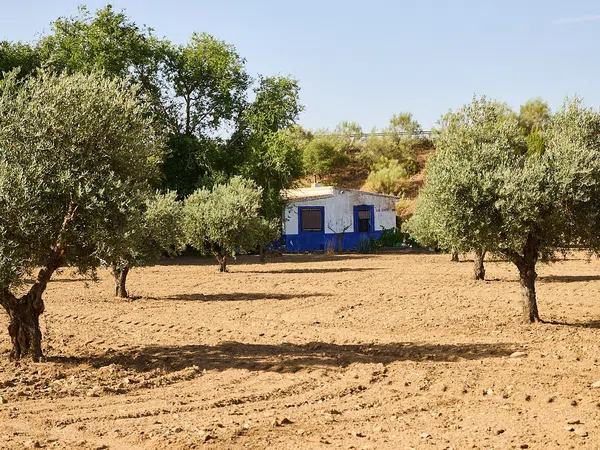 Finca rústica en Camino de la Mata s/n - Foto 12