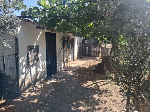 Finca rústica en Camino de los chalets s/n - Foto 5