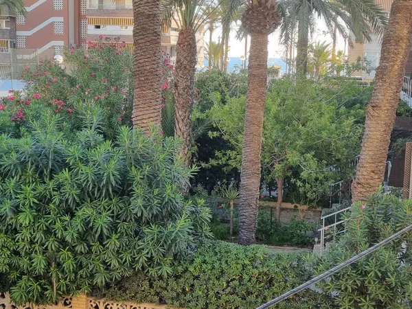 Piso en Avenida de la Costa Blanca, 146, Playa de San Juan - Foto 21