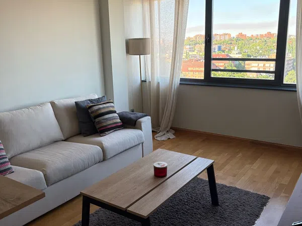 Piso en Calle Bausá, 15, Costillares - Foto 35