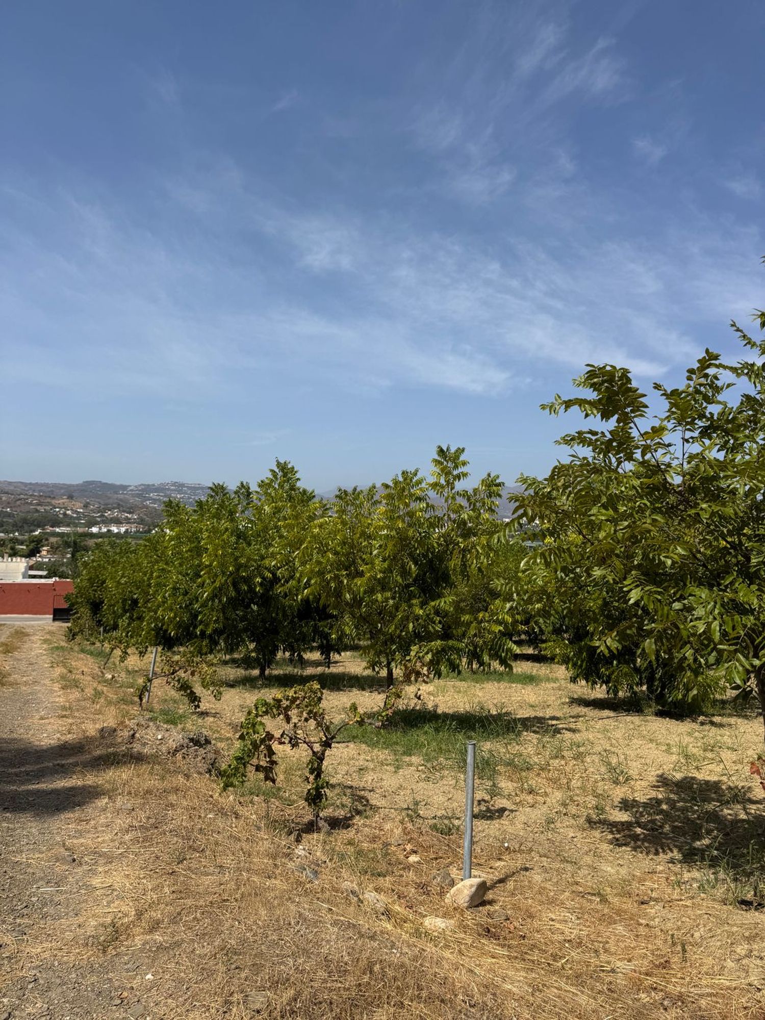 Casa rural en Camino de Campanales, 1, Las Cañadas - Foto 20