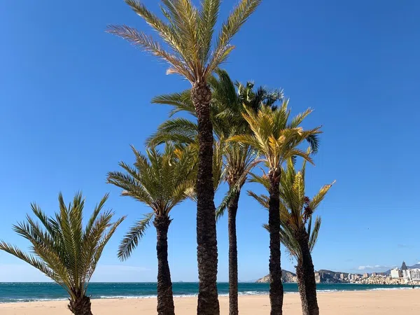 Ático en avenida de Montecarlo, 8 a - Foto 20