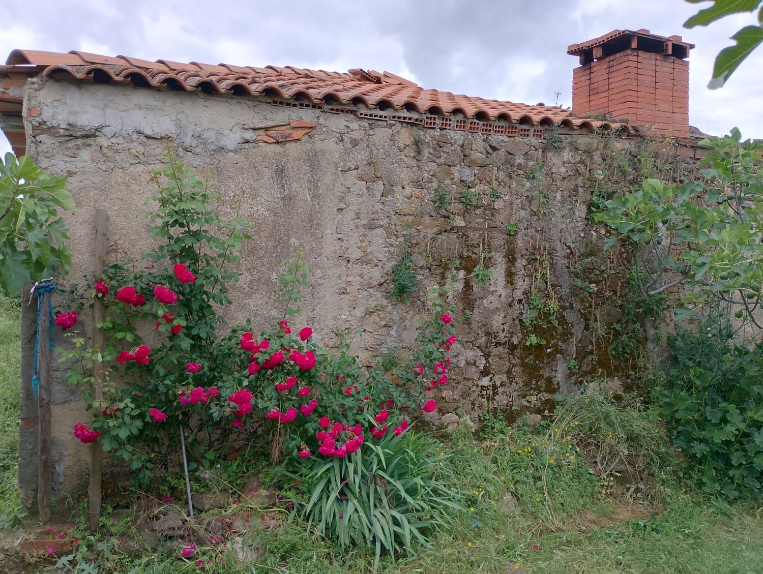 Casa o chalet independiente en Polígono 49 Parcela 3 (Montrinche), 49 PolgonoParcela - Foto 4