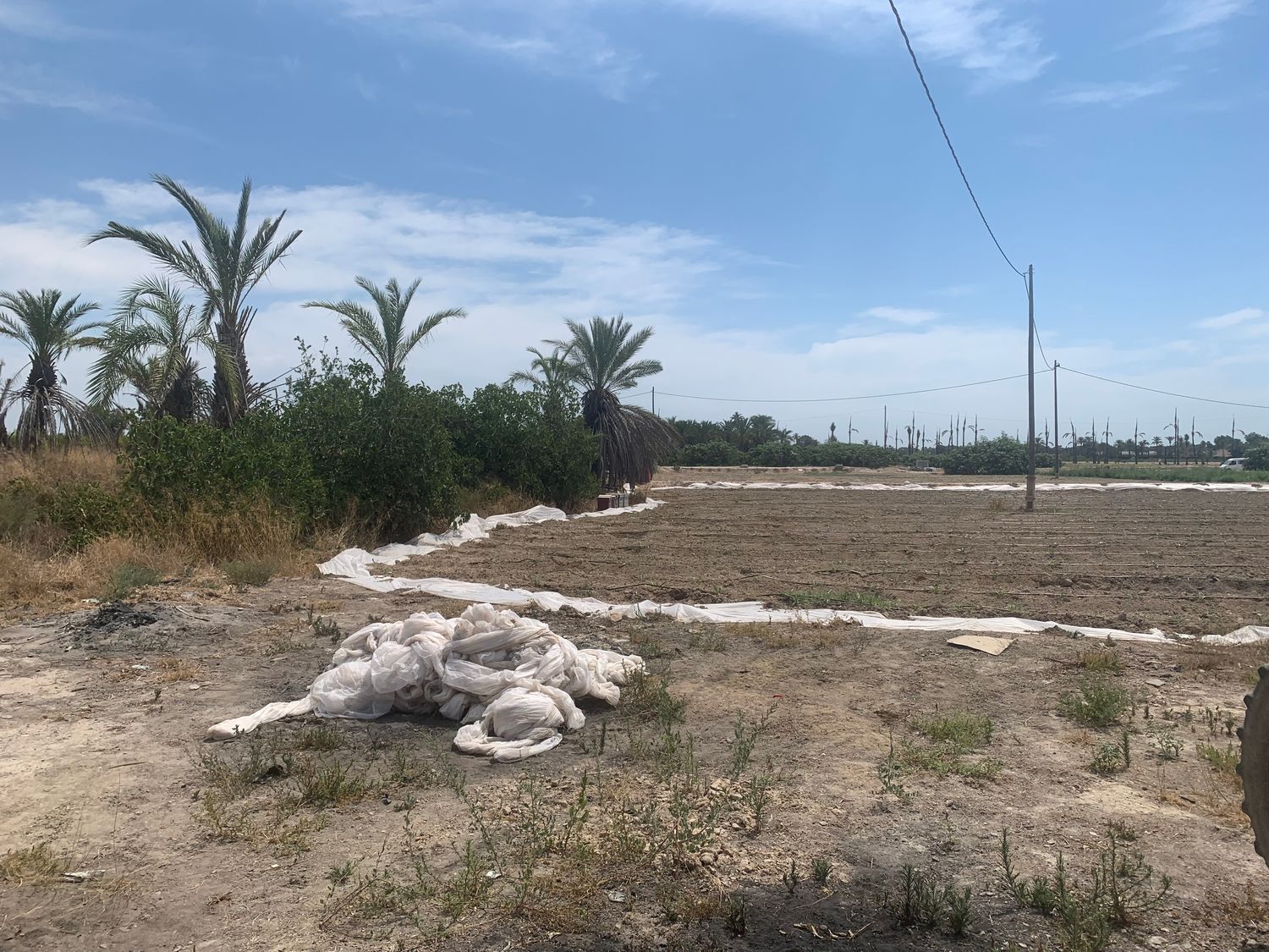 Finca rústica en Carretera de Elche a Casas del León, 30, Algoda-Matola-Llano de San José, Algoda-Matola-Llano de San José - Foto 5