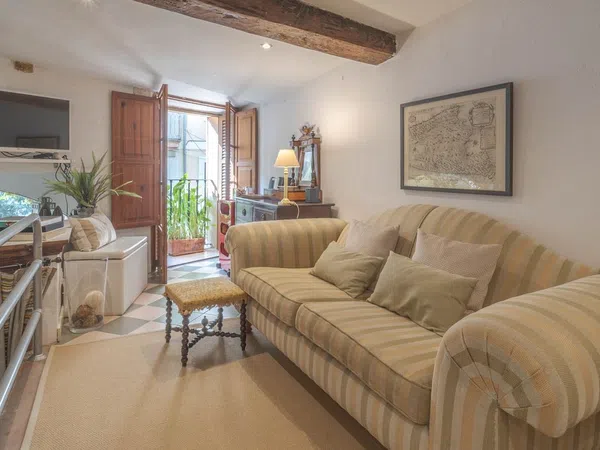 Estudio en Calle de Sant Pere, 20, La Llotja - Foto 20