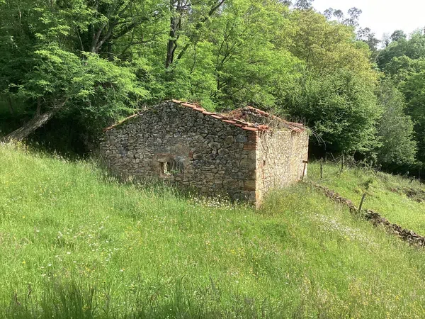 Casa rural en Avenida Alisas, 3 Km - Foto 15