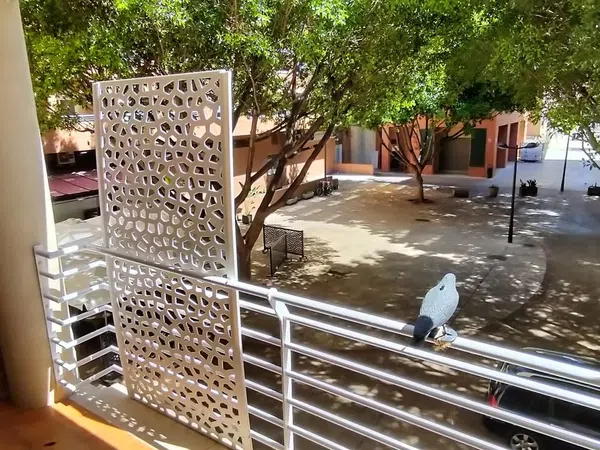 Piso en Plaza del Mestre Vicent Ballester Fandós, 2, Ciutat de les Arts i de les Ciencies - Foto 14