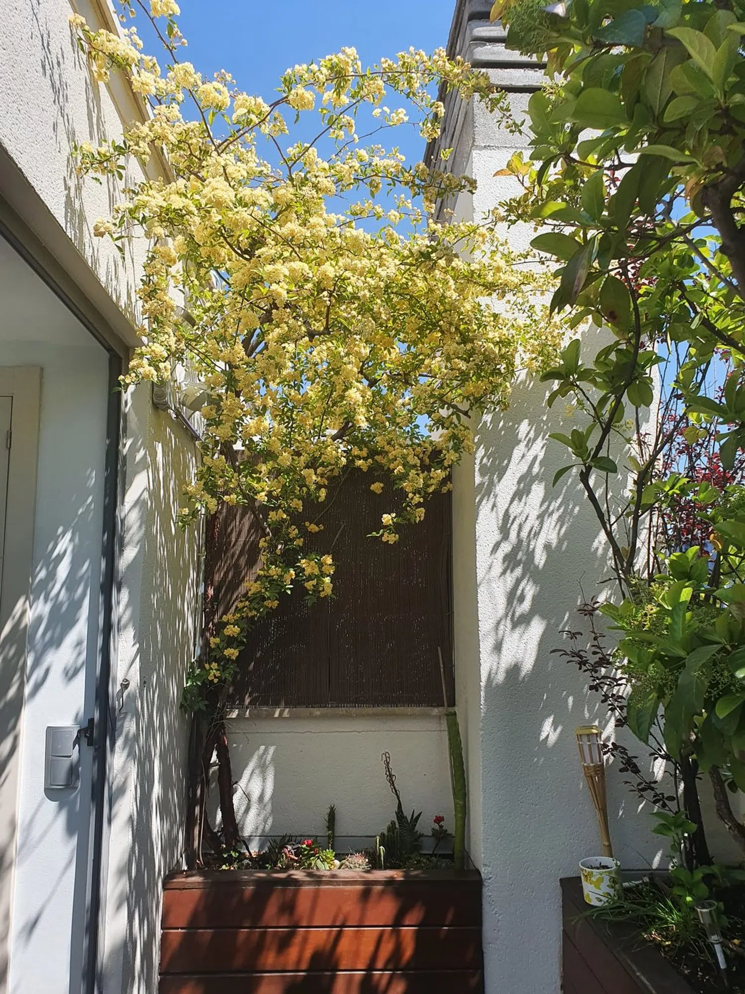 Ático en calle Ariel, 4 - Foto 5