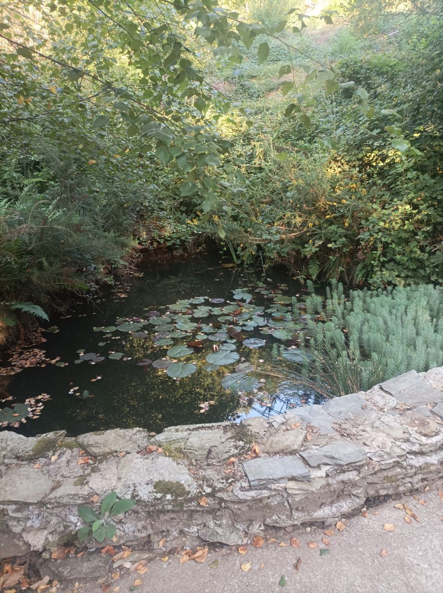 Finca rústica en Sarceda, 2 - Foto 4