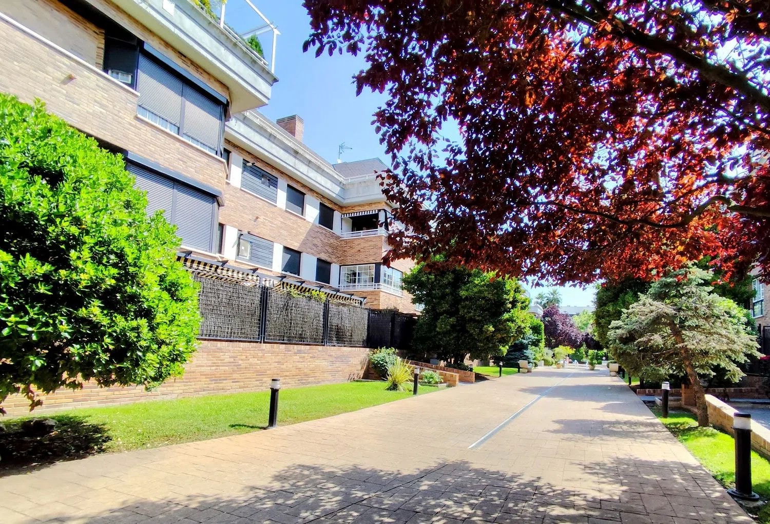 Ático en calle Castillo de Belmonte, 1 - Foto 33