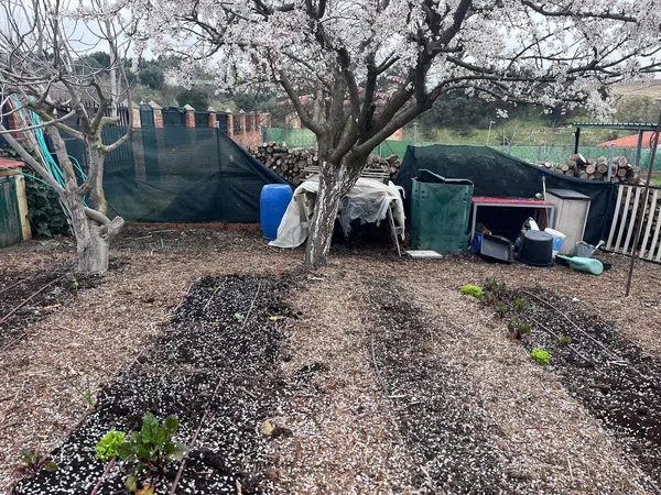 Finca rústica en Carril Toledano s/n, La Dehesa - El Pinar, La Dehesa - El Pinar - Foto 2