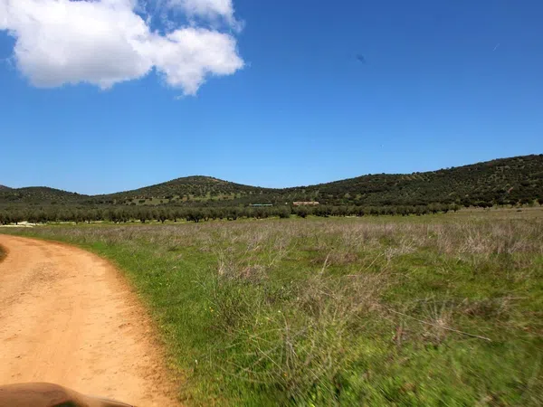 Cortijo en Cr-7021, 5 km - Foto 14