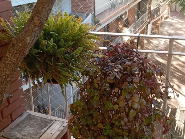 Piso en calle Francesc Layret, 59 - Foto 4