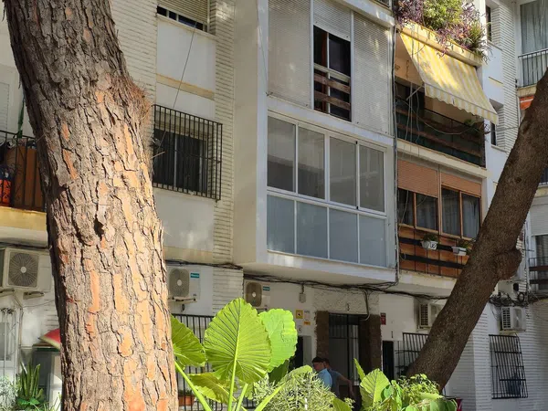 Piso en plaza de la Caracola, 5 - Foto 3