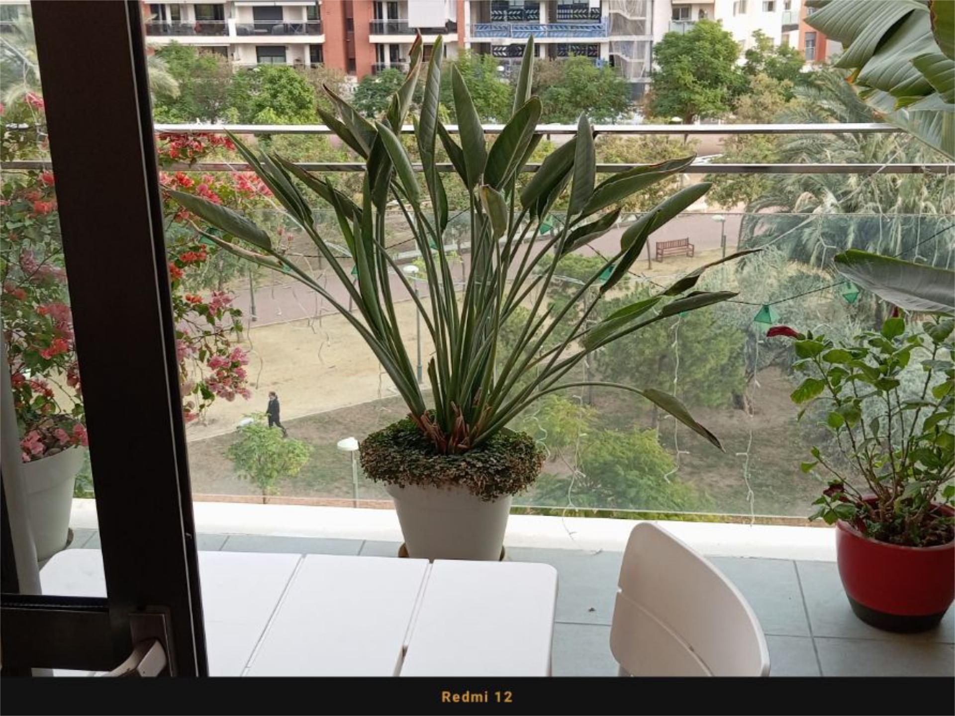 Piso en  Avenida Antonio Martínez Guirao 10 - Foto 3