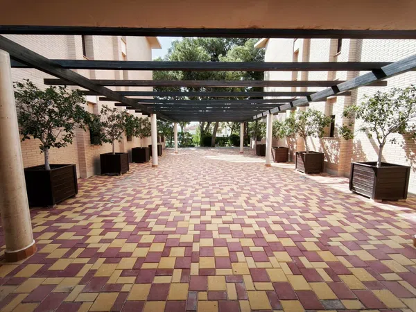 Piso en Calle del Pintor Manuel Baeza Gómez, 40, Centro, San Juan de Alicante - Foto 31