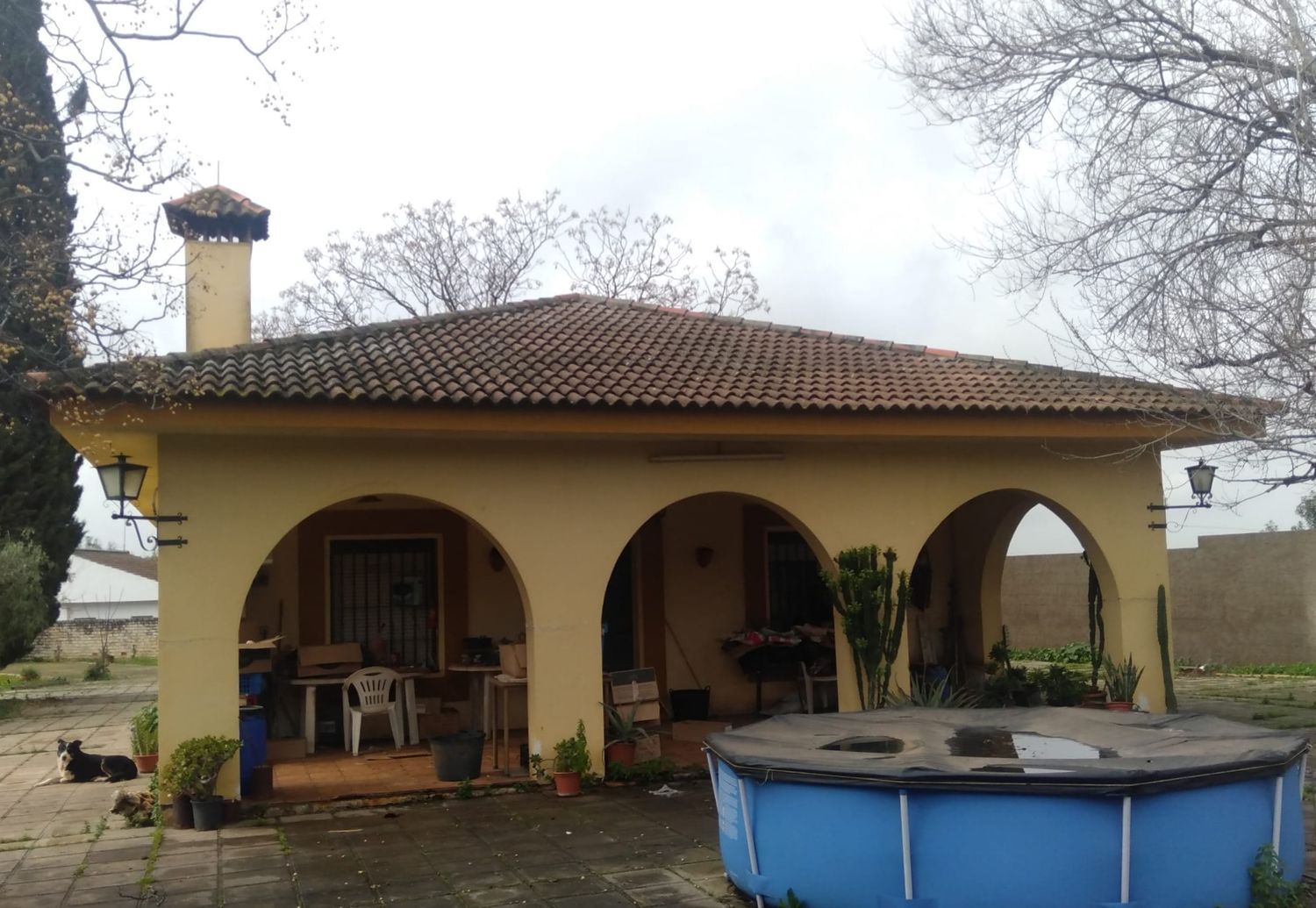 Casa o chalet independiente en Urbanización las Monjas, 516 - Foto 7