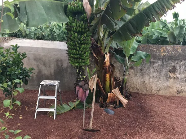 Casa independiente en calle Violeta del Teide, 2 - Foto 8