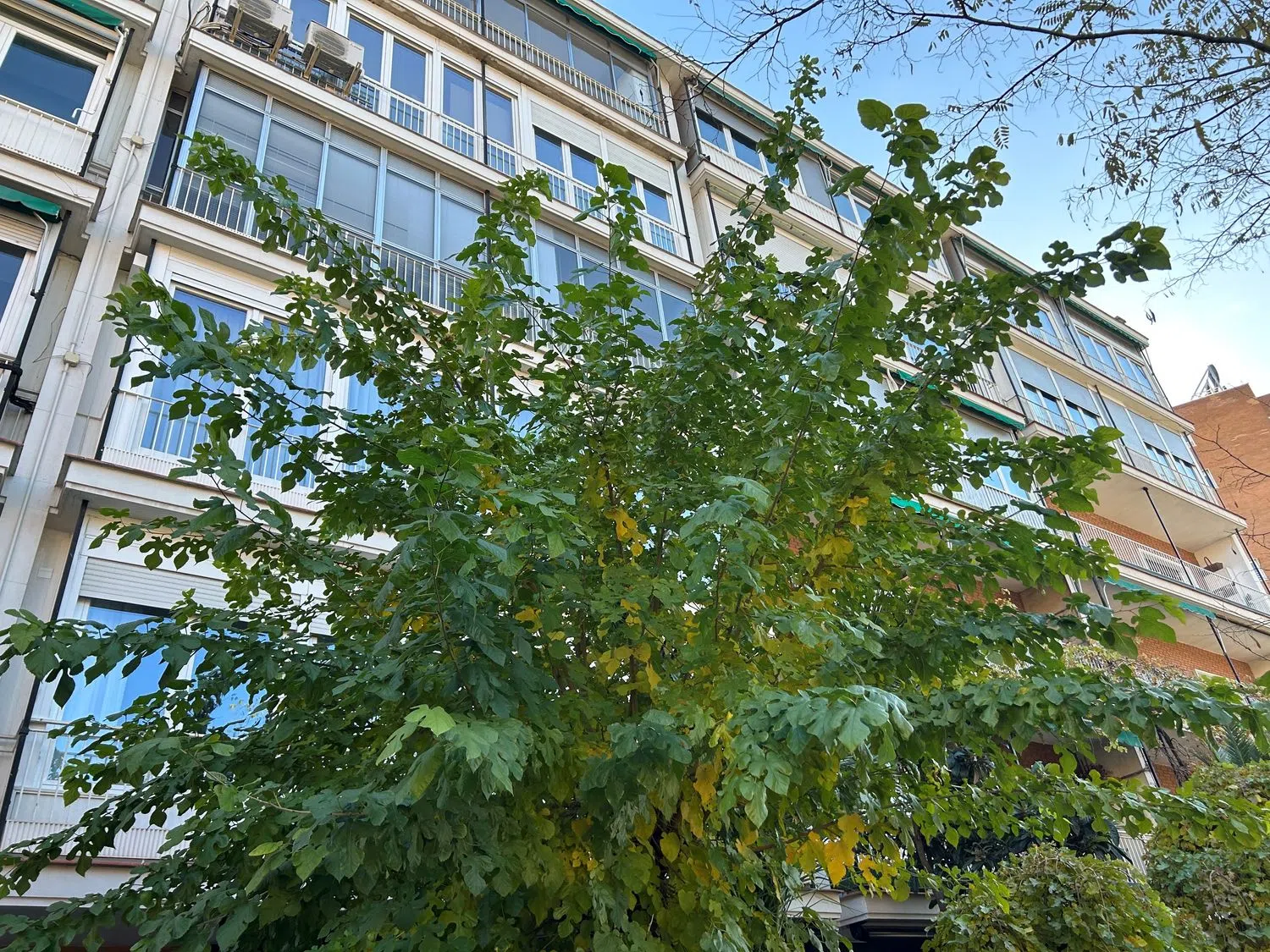 Piso en paseo de la Habana - Foto 26