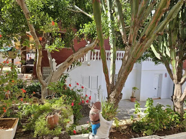 Casa terrera en lomo el diviso, 20