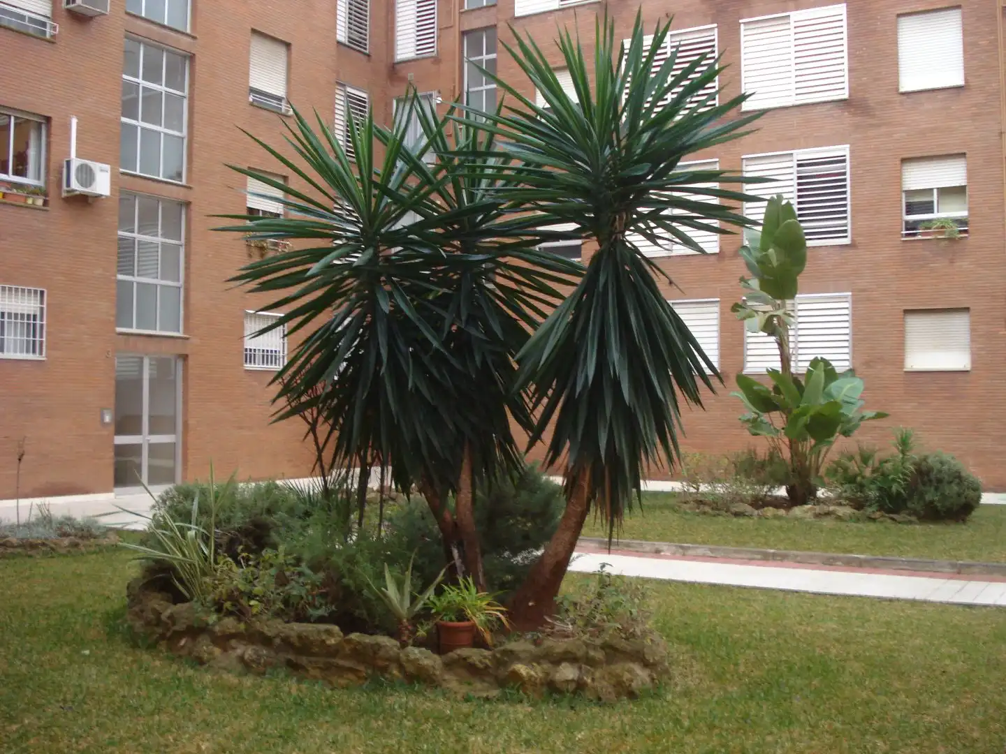 Apartamento en  Calle Porvenir 14 - Foto 8