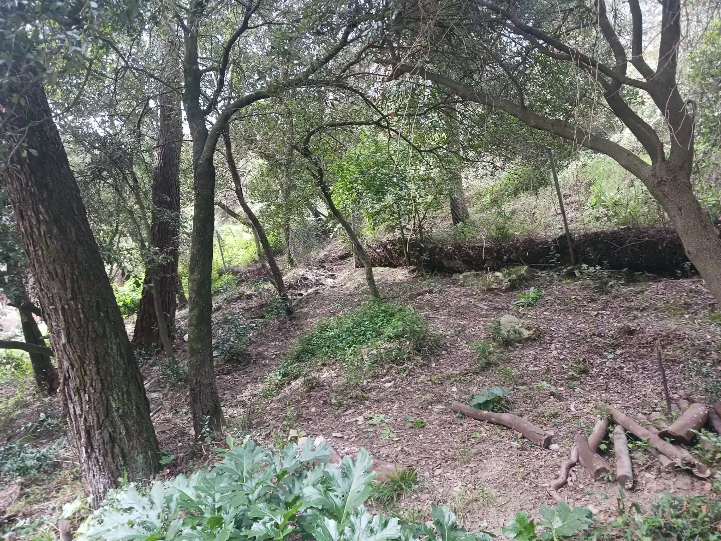 Terreno Residencial en  Carrer Barranc del Llop 29 - Foto 6