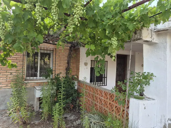 Finca rústica en Plaza Numero 3, 148, Las Pedrizas, Las Pedrizas - Foto 4